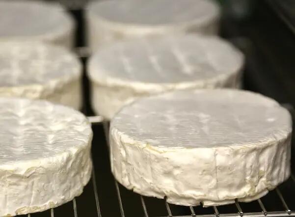 Histoire et Origine : Camembert Cœur de Lion®