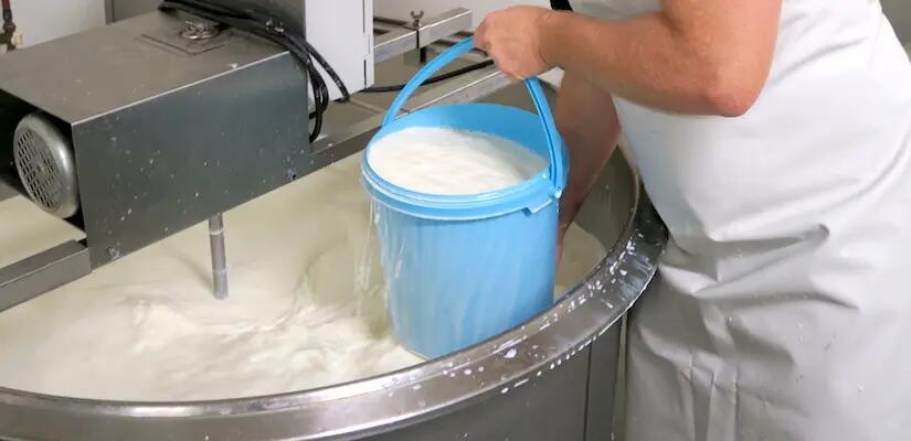Fabrication du fromage les différentes étapes