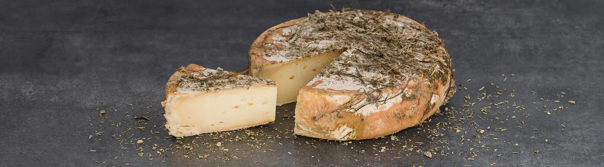 LA02_66_Tomme au genepi_2