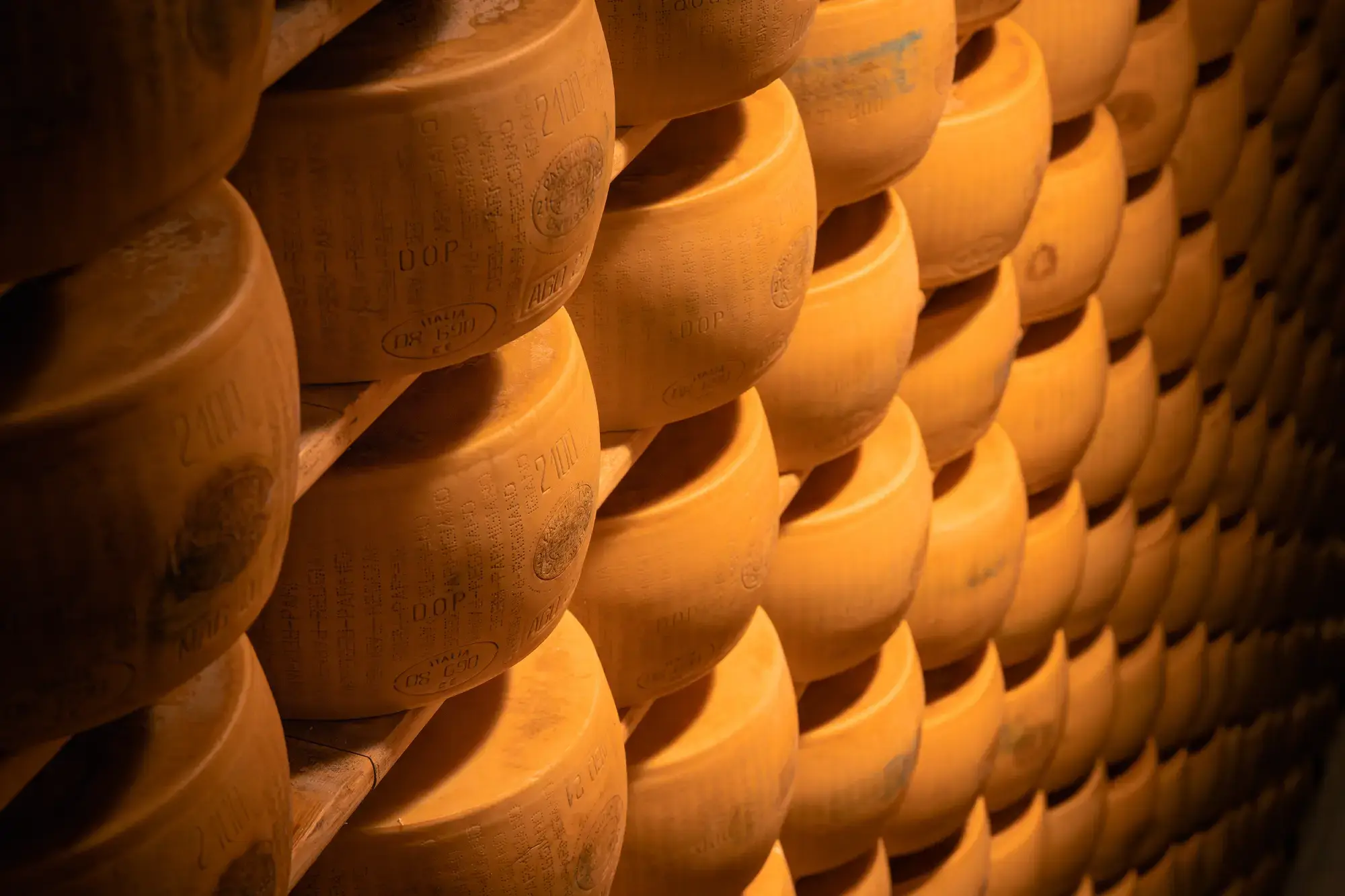 PARMIGIANO REGGIANO WHEEL ON SHELF