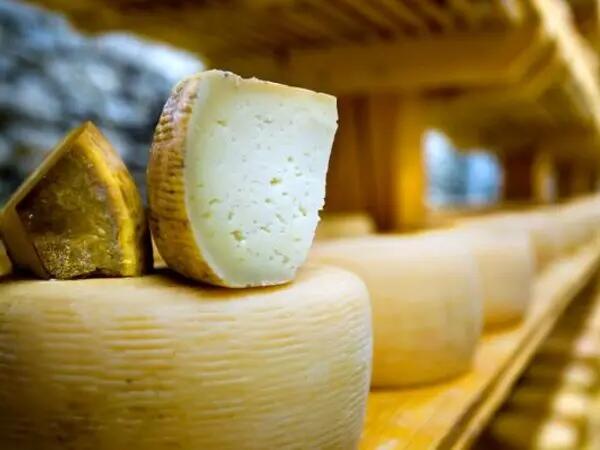 TH01_calories-fromage-de-brebis
