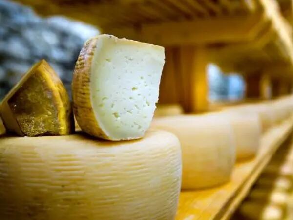 Le fromage de brebis : un fromage calorique ?