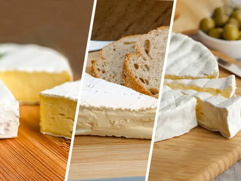 Brie, camembert et coulommiers TH01