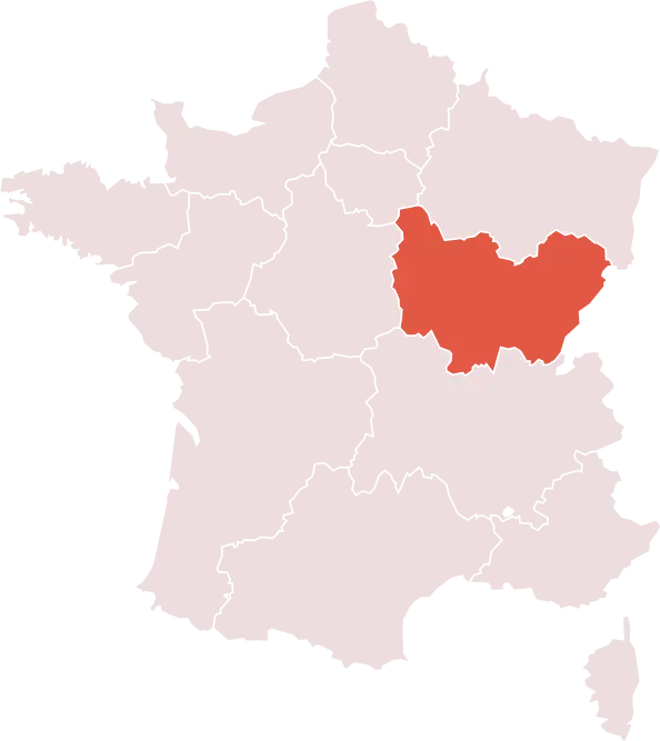 Carte Fromage : Mont d'Or AOP (AOP)