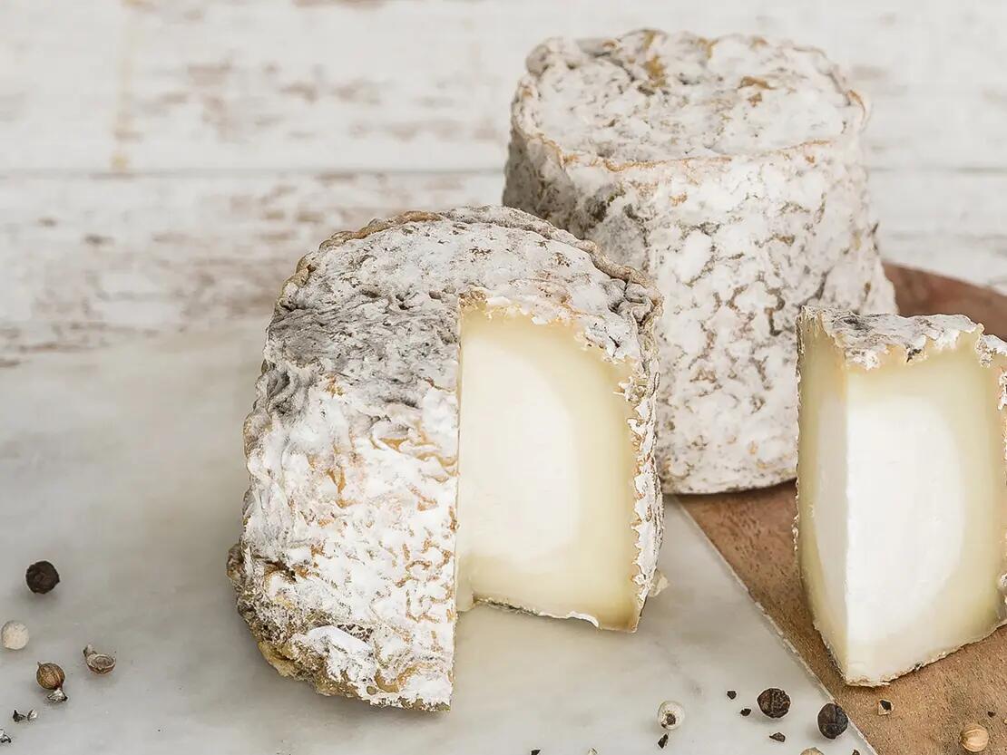 Fromage : Pampillon