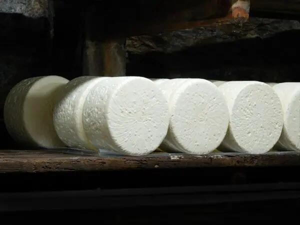 TH01_Fabrication roquefort