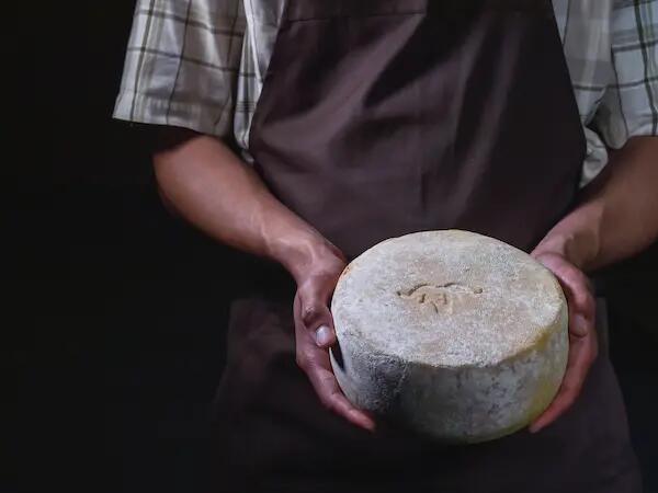 TH01_lesteteschercheusesdufromage