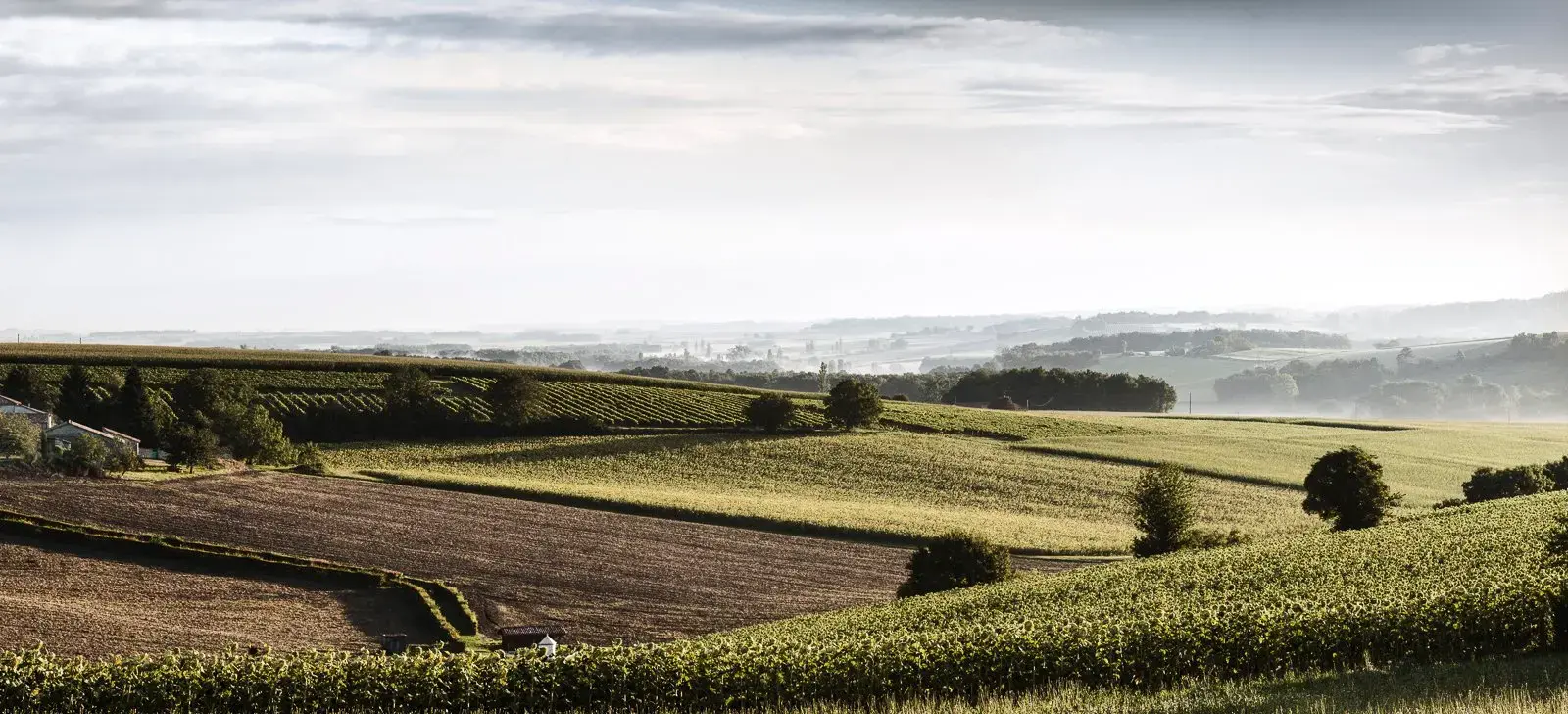 (re)Découvrez les richesses de nos terroirs !