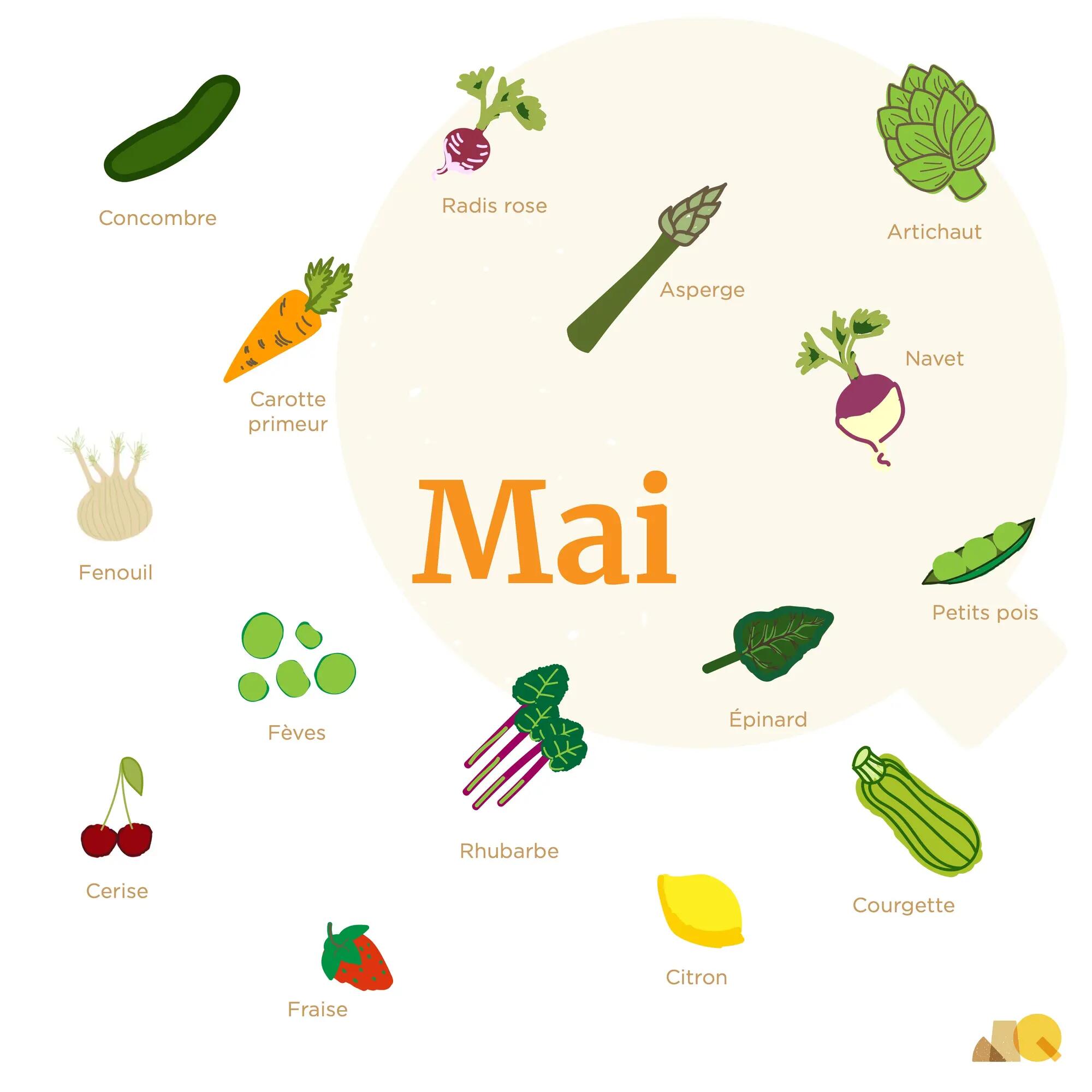 Calendrier Légumes & Fruits - Mai
