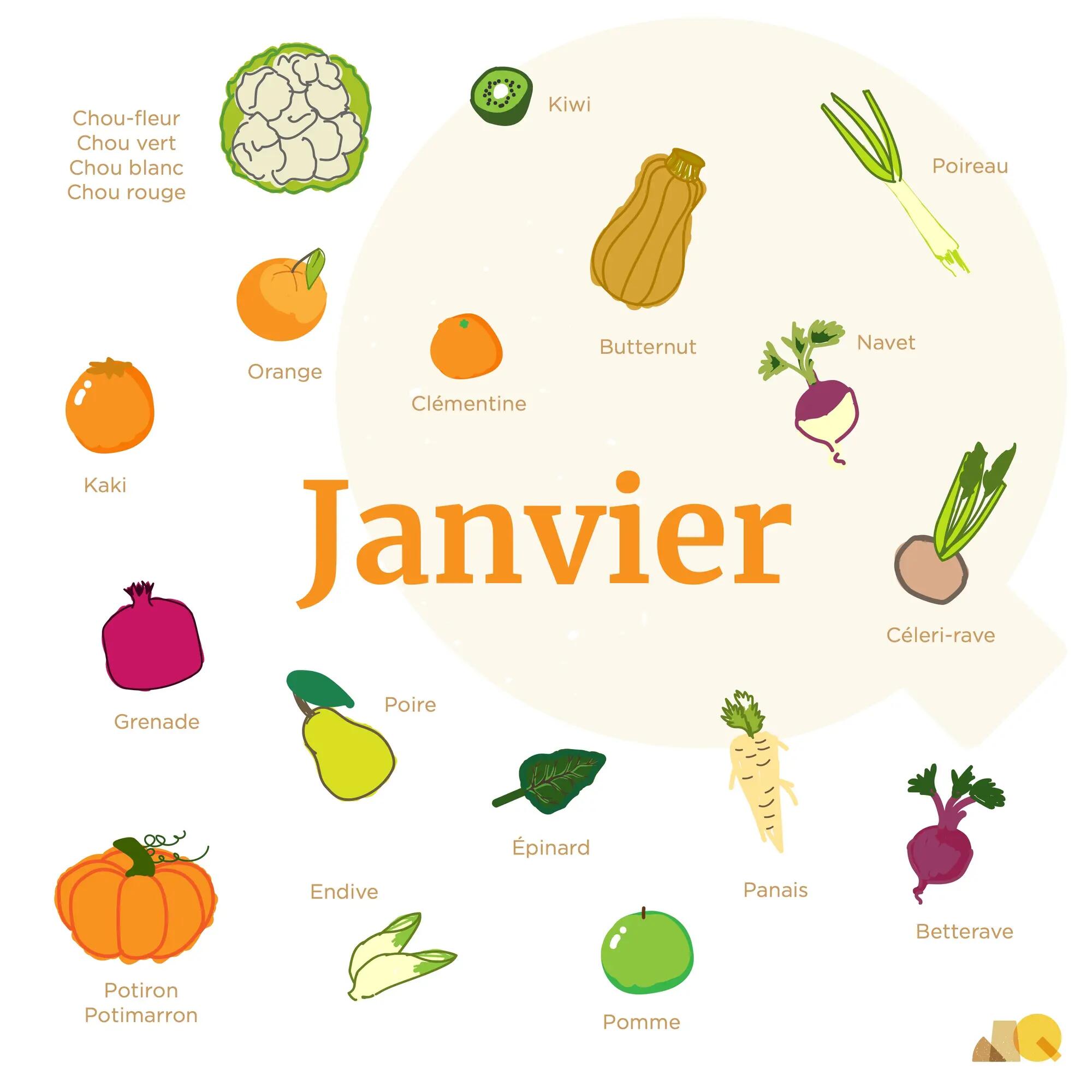 Calendrier Légumes & Fruits - Janvier