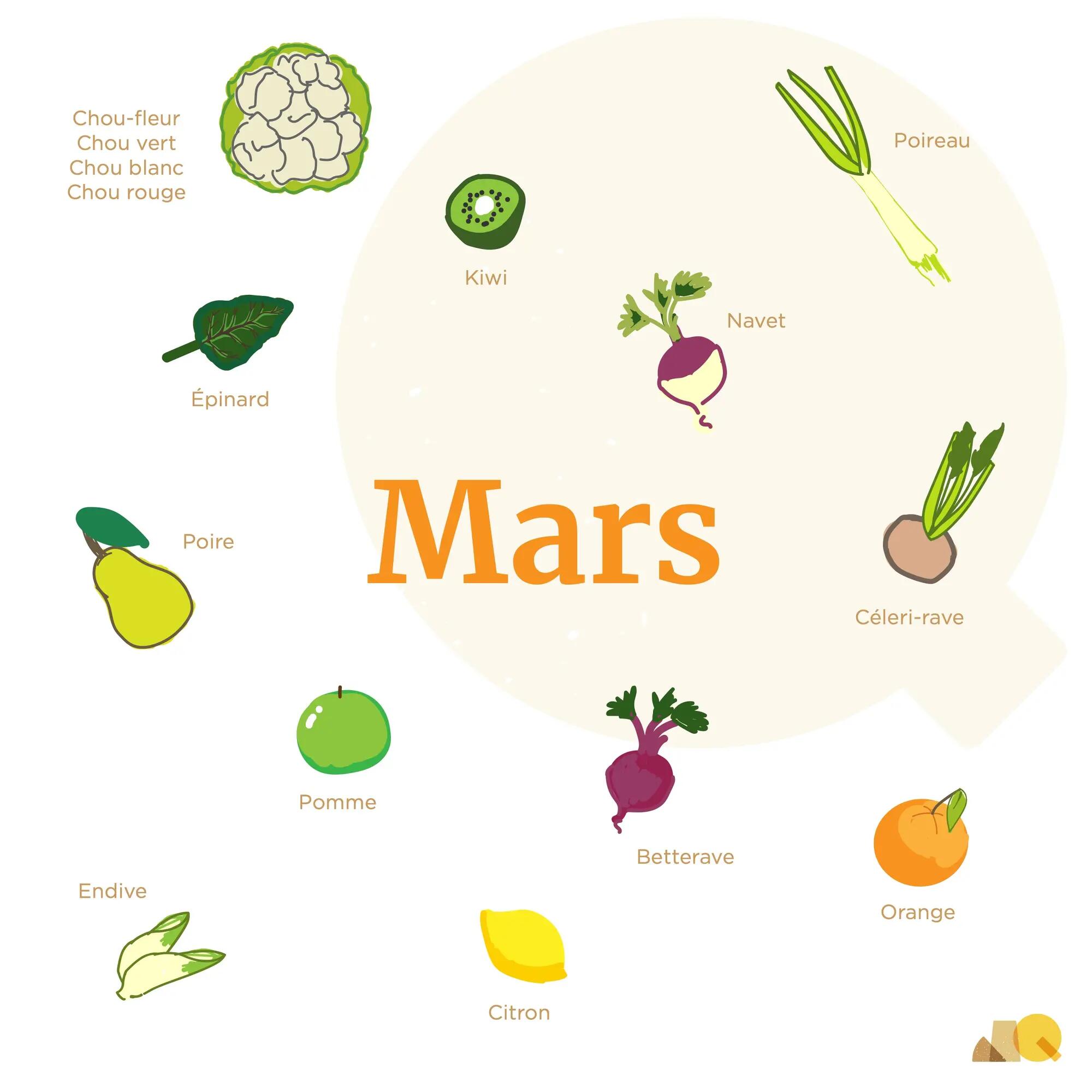 Calendrier Légumes & Fruits - Mars