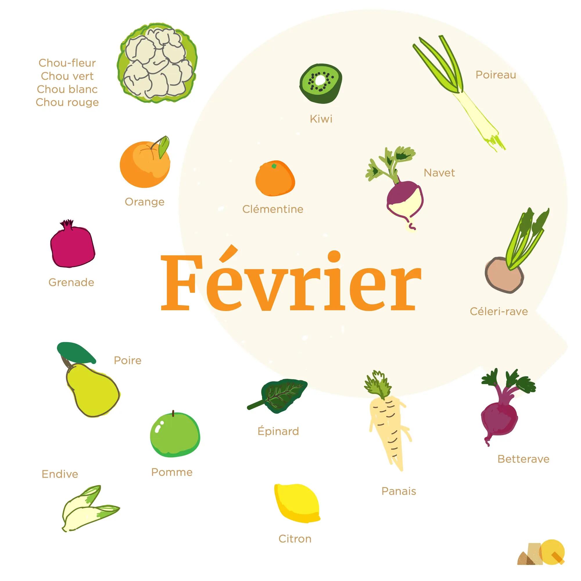 Calendrier Légumes & Fruits - Février