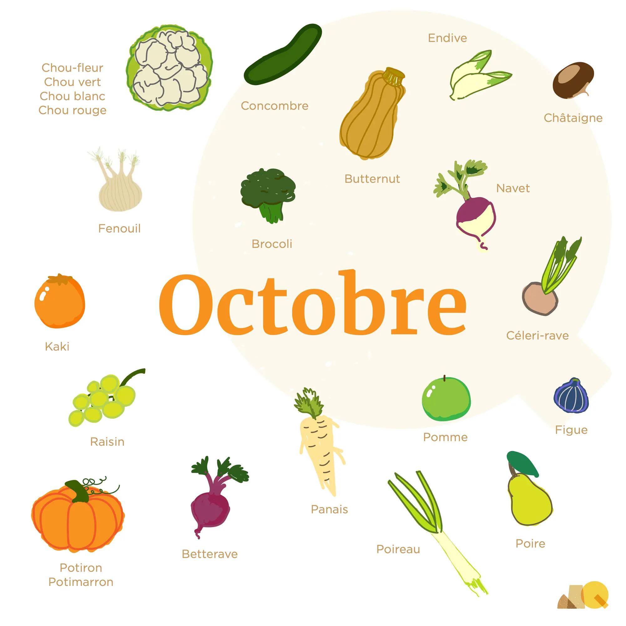 Calendrier Légumes & Fruits - Octobre