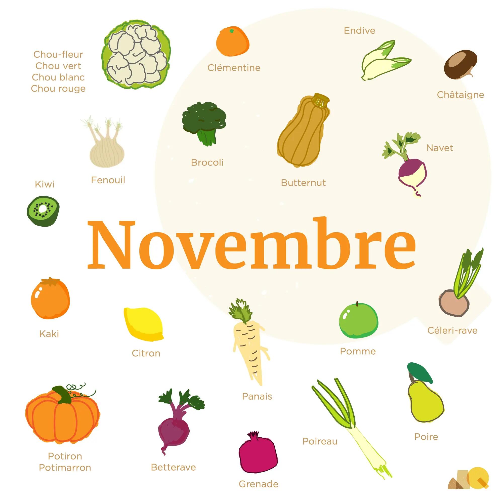 Calendrier Légumes & Fruits - Novembre