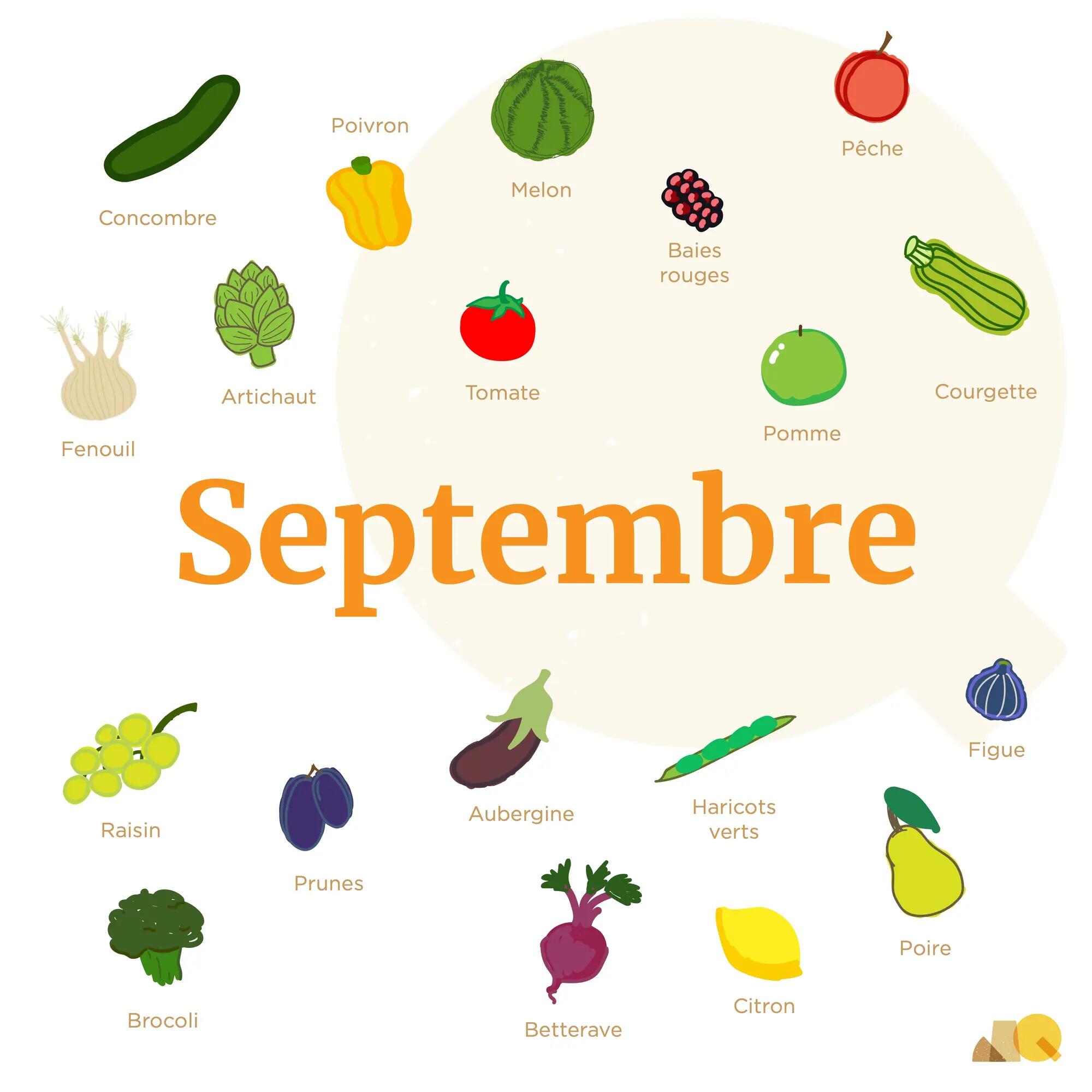Calendrier Légumes & Fruits - Septembre