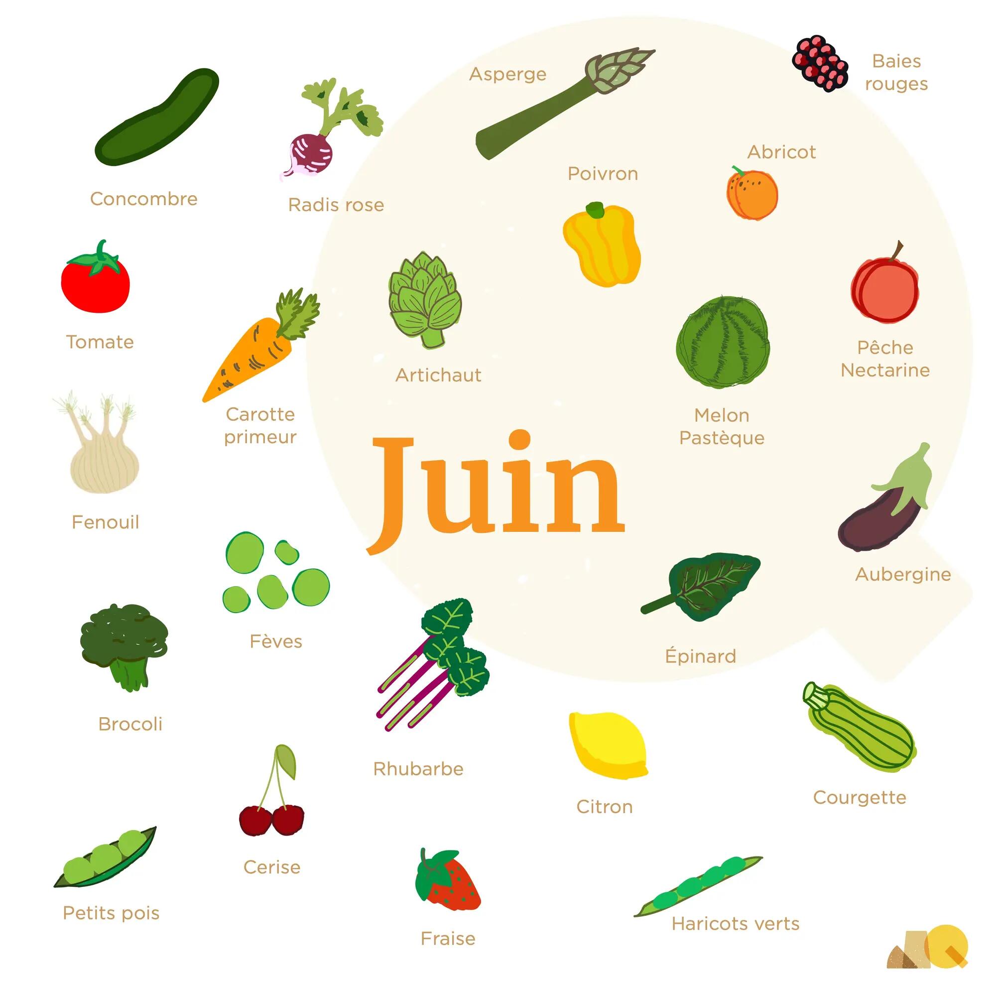 Calendrier Légumes & Fruits - Juin