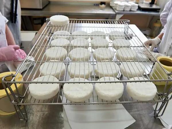TH01_Fabrication camembert