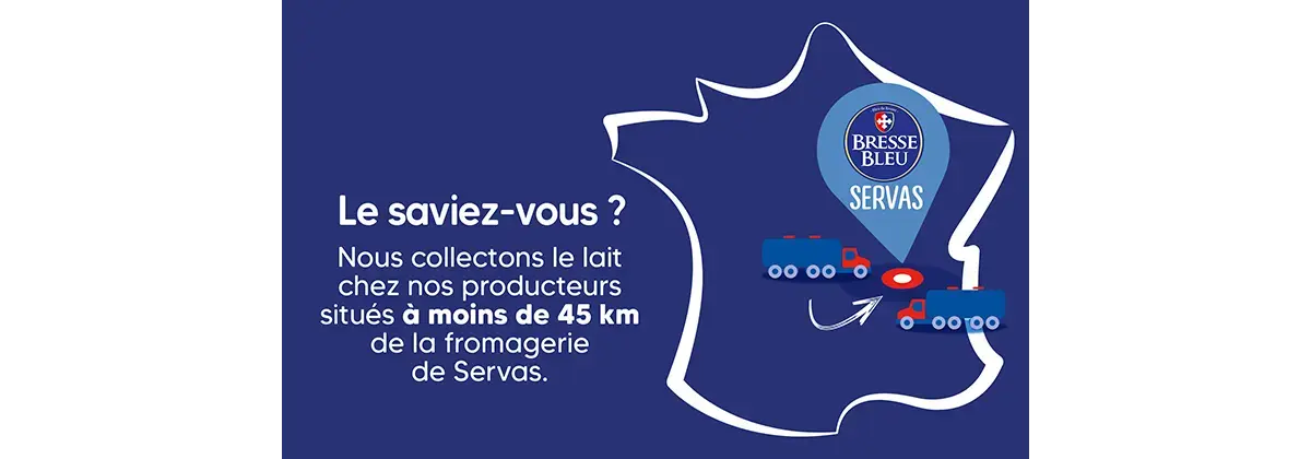 Infographie sur collecte du lait Bresse Bleu