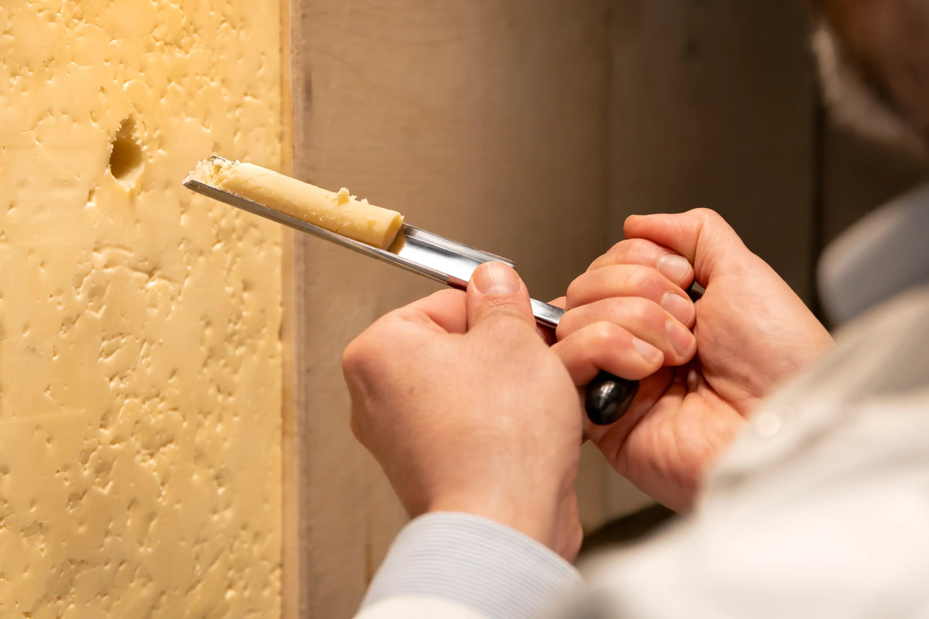 Fromager en train d'évider le cheddar pour le goûter