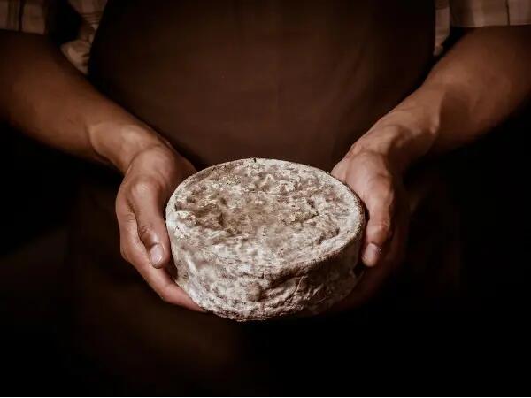 TH01_french-tomme-cheese-in-the-hands-of-a-cheesemaker-picture-id585605306