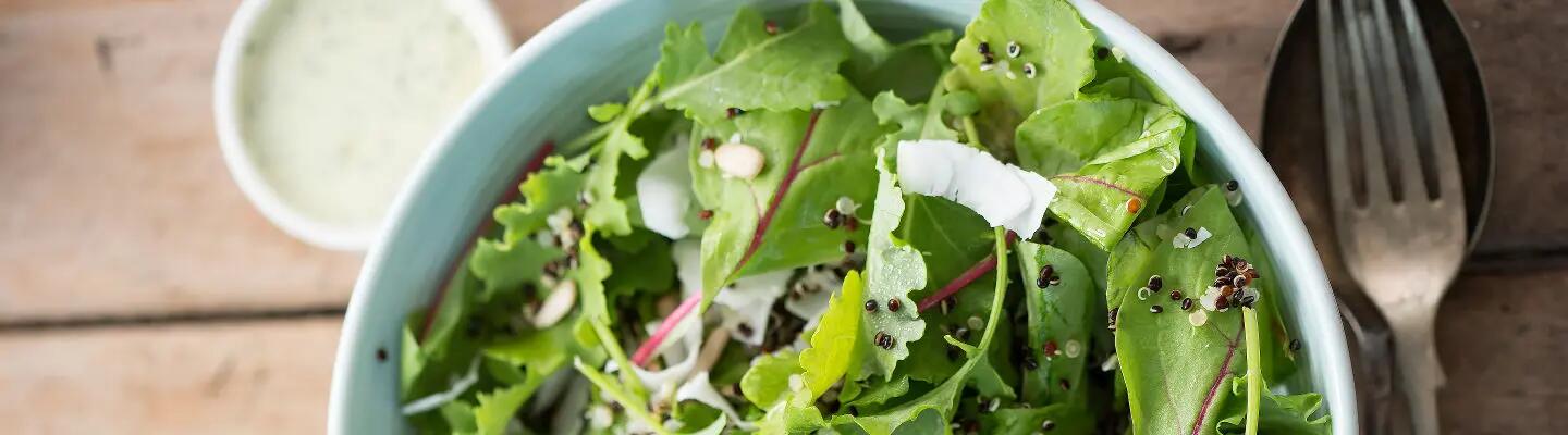 LA02_salade-verte-avec-sauce-fromage