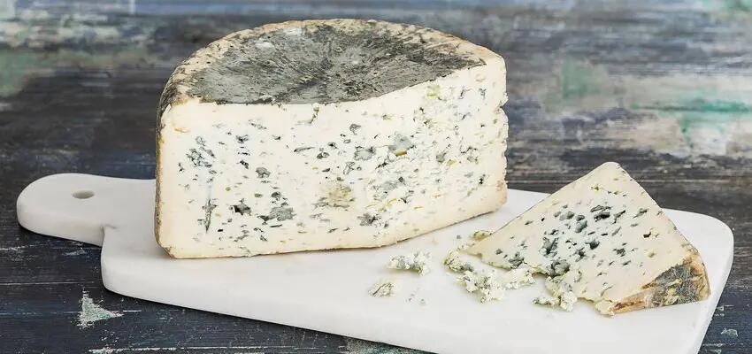 Fromage bleu : Découverte des variétés incontournables