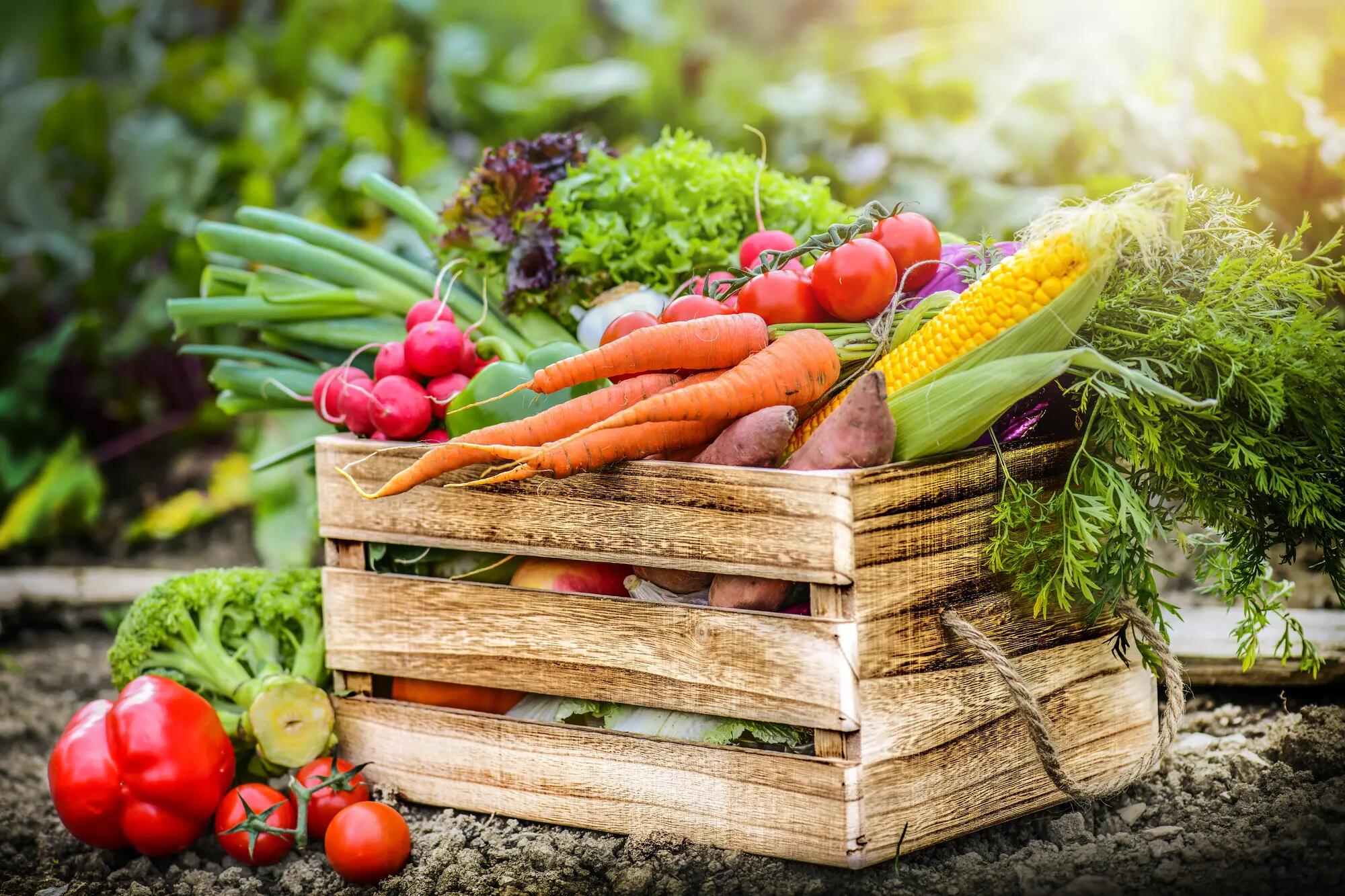 Fruits & légumes de saison : le calendrier