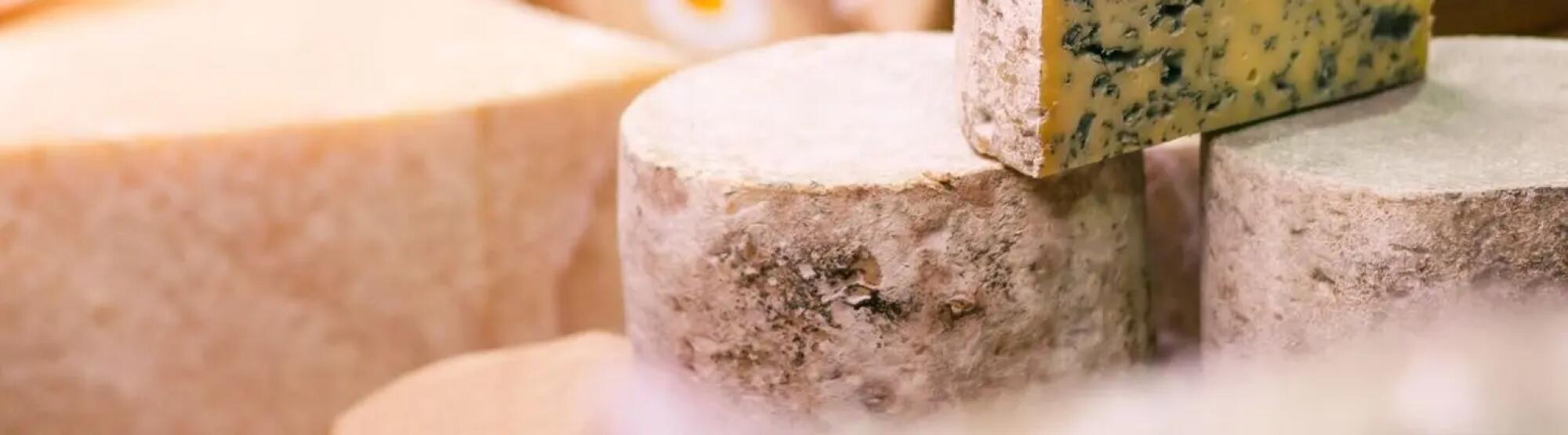 LA02_fromage lait pasteurise