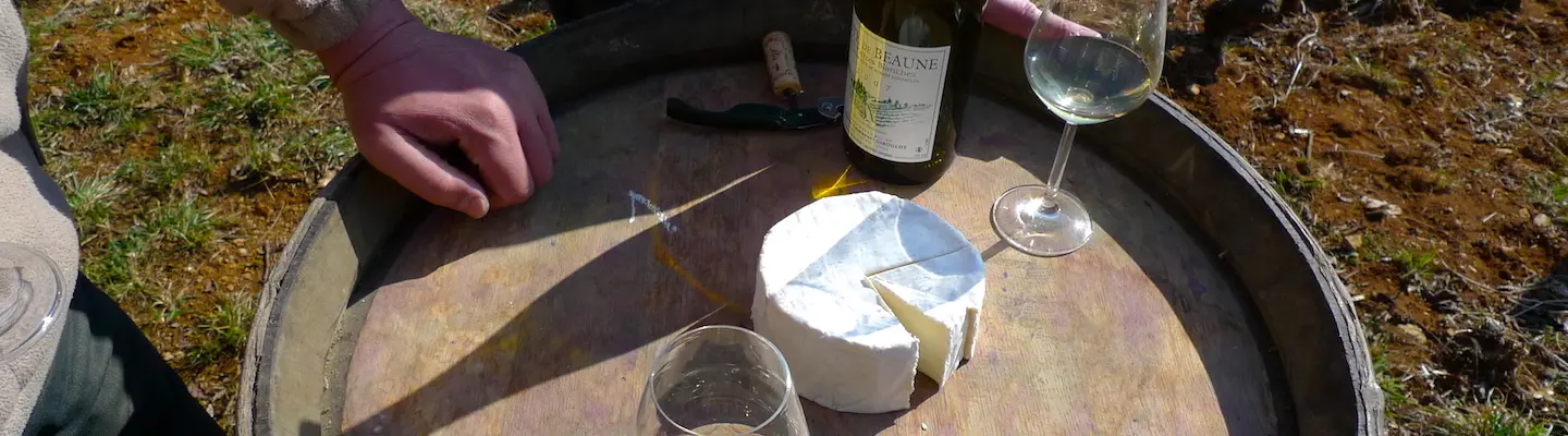 Comment marier les vins et fromages de Bourgogne ?