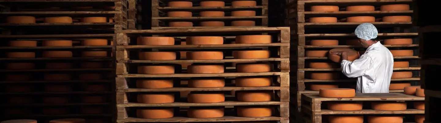 Raclette : L’entretien Cheesy