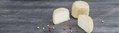 Crottin de chavignol AOP