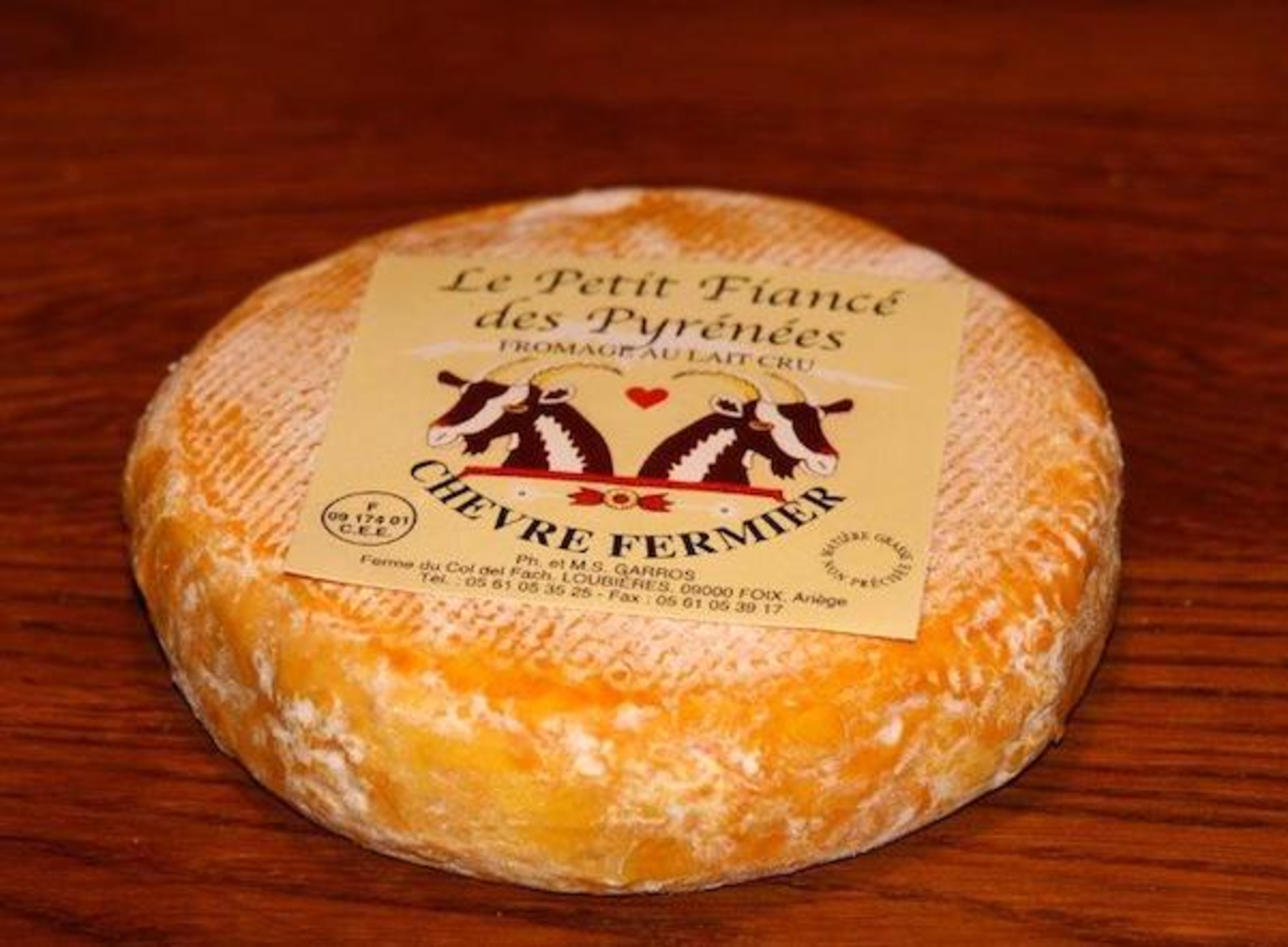TH01_164_Petit fianc