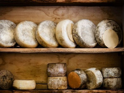 Meilleures fromageries d’Angers : notre sélection