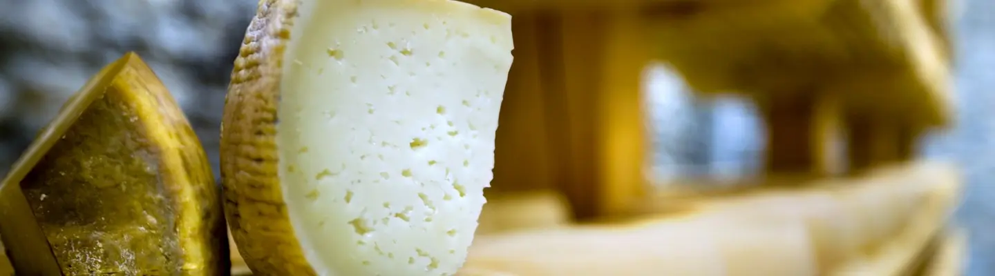Le fromage de brebis : un fromage calorique ?