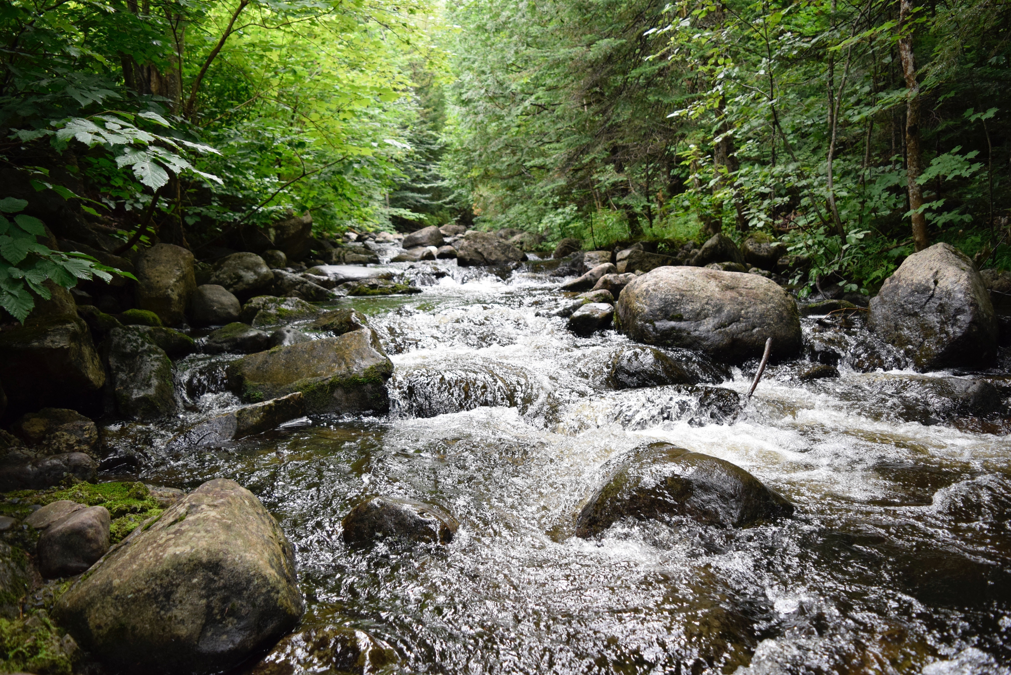 visuel chute d'eau