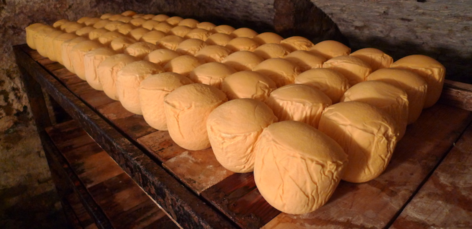 TH05_mimolette_1_cassel