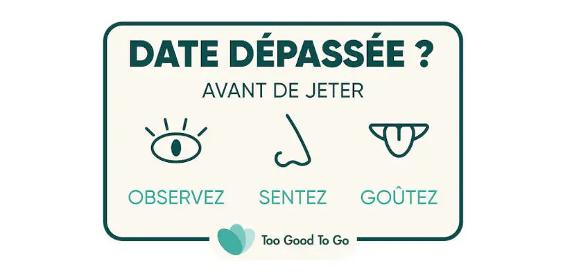 Too Good To Go : lutte contre le gaspillage alimentaire