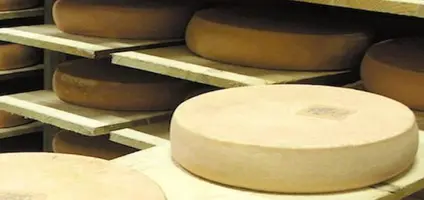 Fromage pour raclette tranché nature, Les fromages à raclette, Les  fromages à raclette, Les fromages à la coupe et à la pièce*, La crèmerie, Les produits