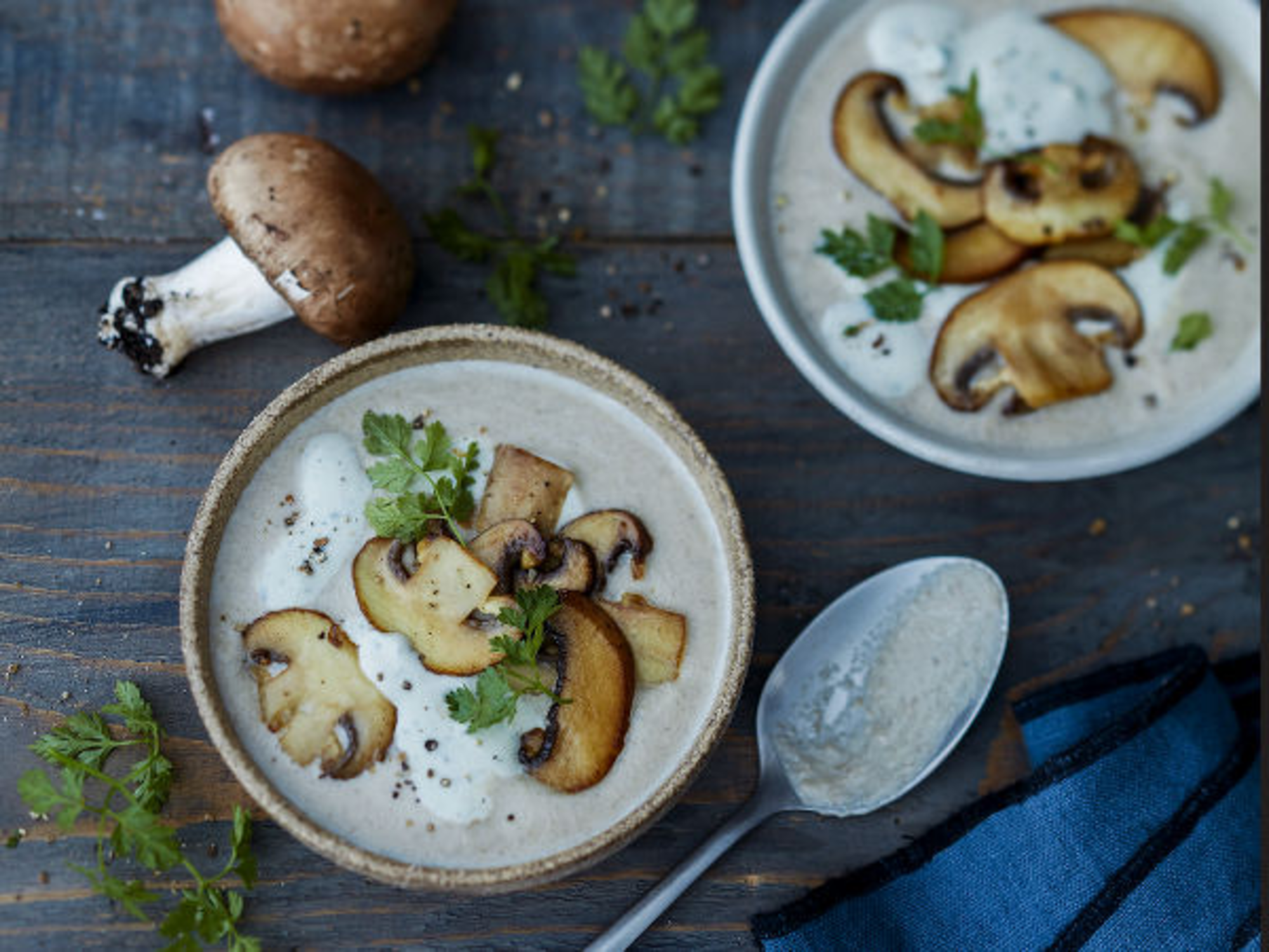 Velouté de champignons à la crème de bleu