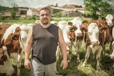 Saint Agur - producteur de lait