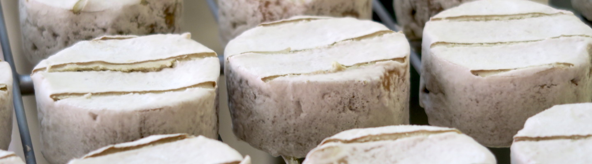 Tout savoir sur le « fromage végétarien »