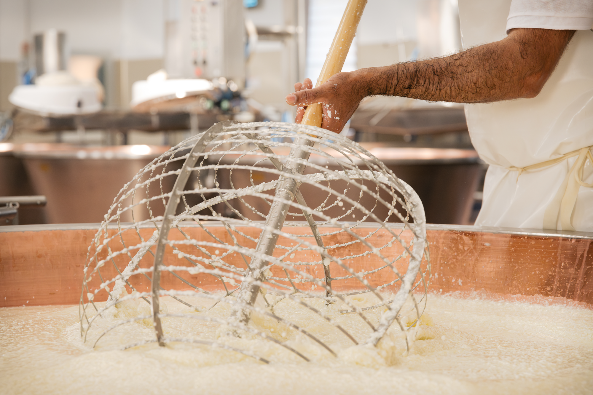 PARMIGIANO REGGIANO WHEEL FABRICATION TOSS