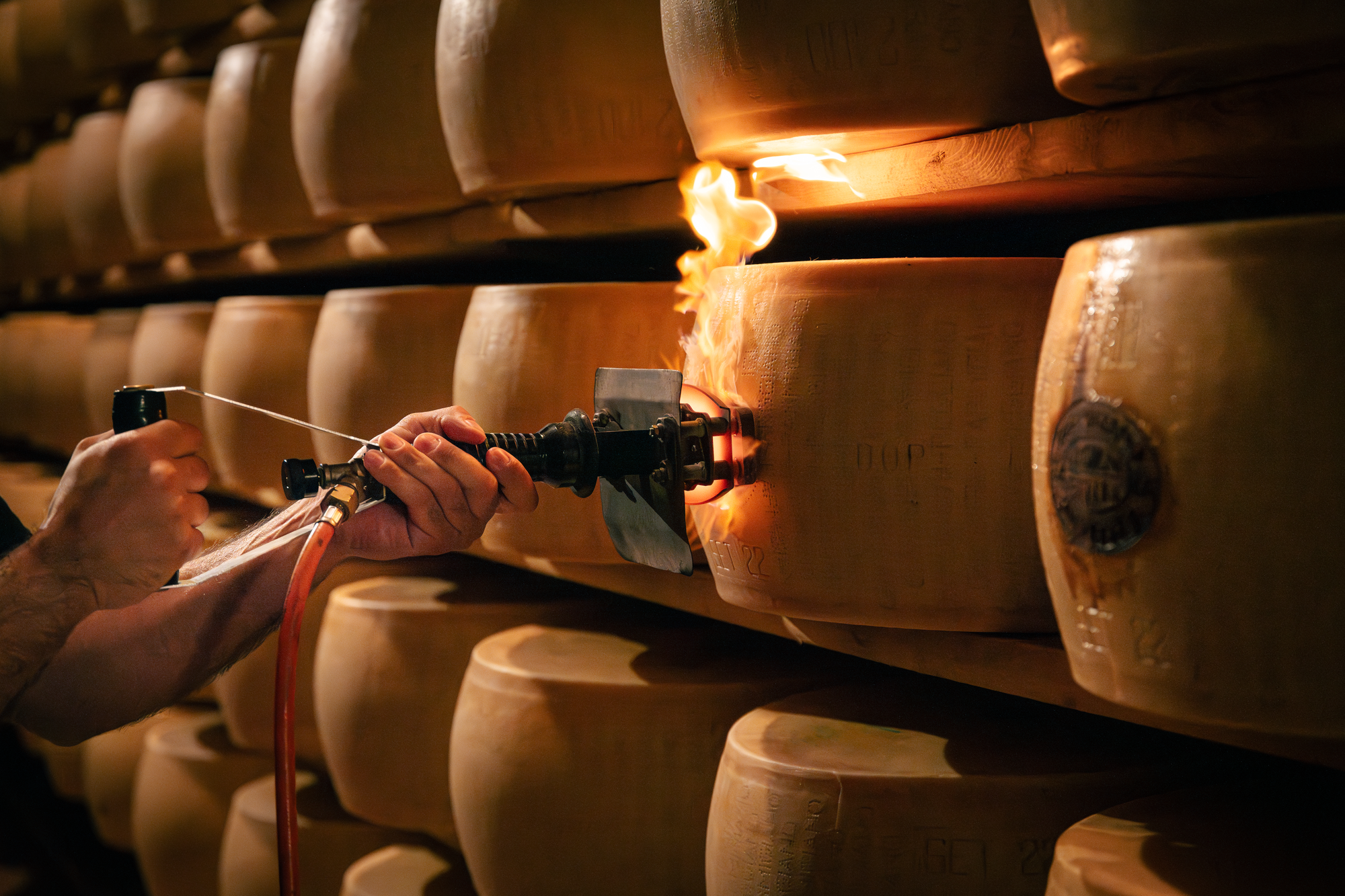 Giovanni Ferrari, un parmesan à la pointe du goût !