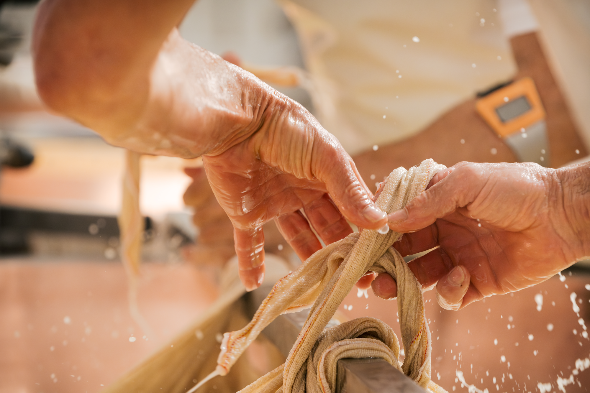 PARMIGIANO REGGIANO WHEEL FABRICATION