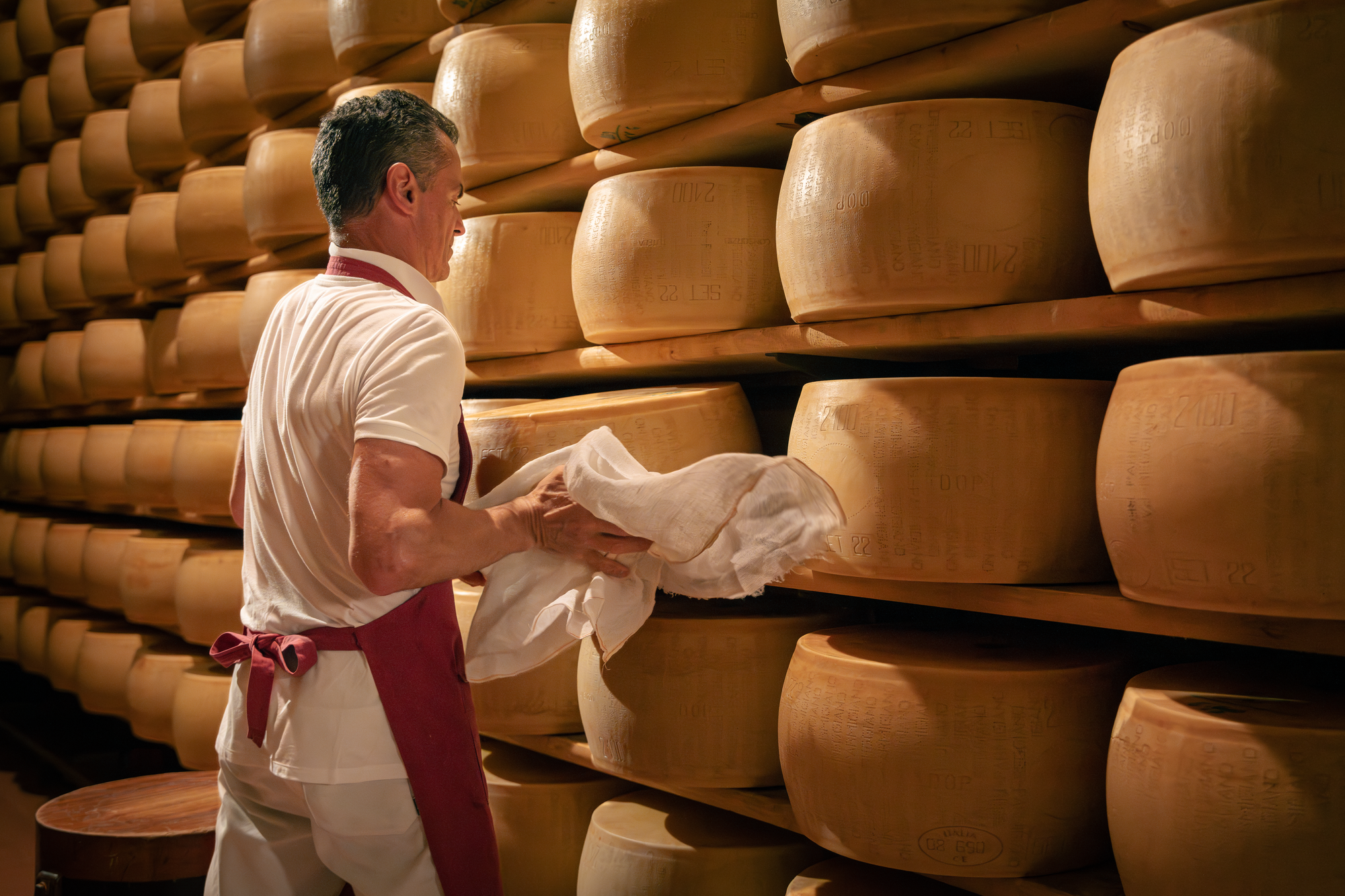 PARMIGIANO REGGIANO WHEEL CONTROL