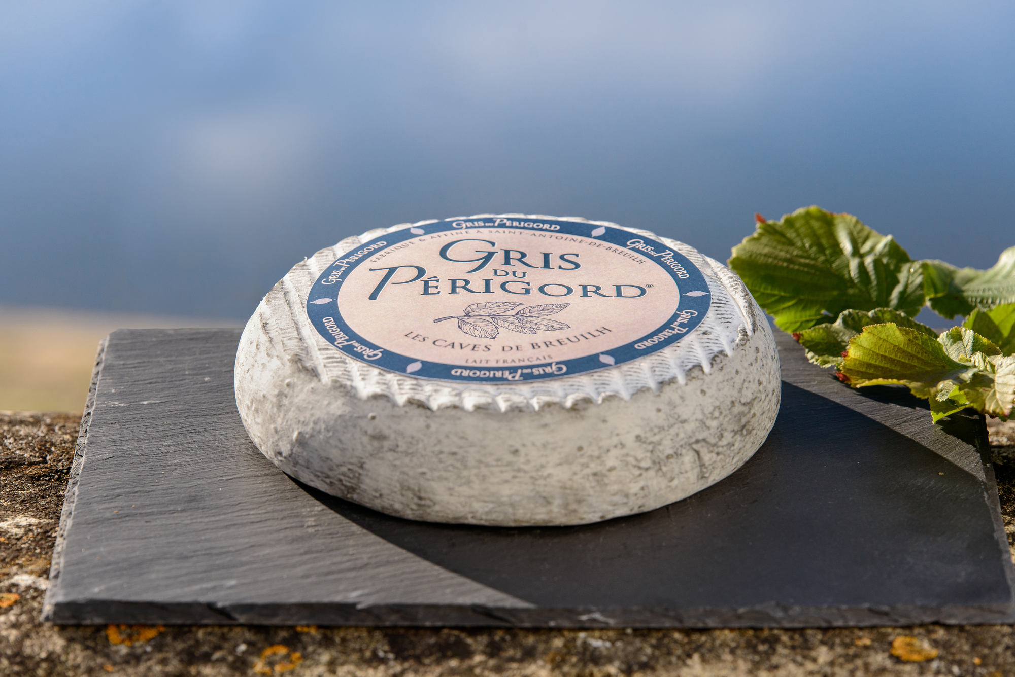 Gris du Périgord