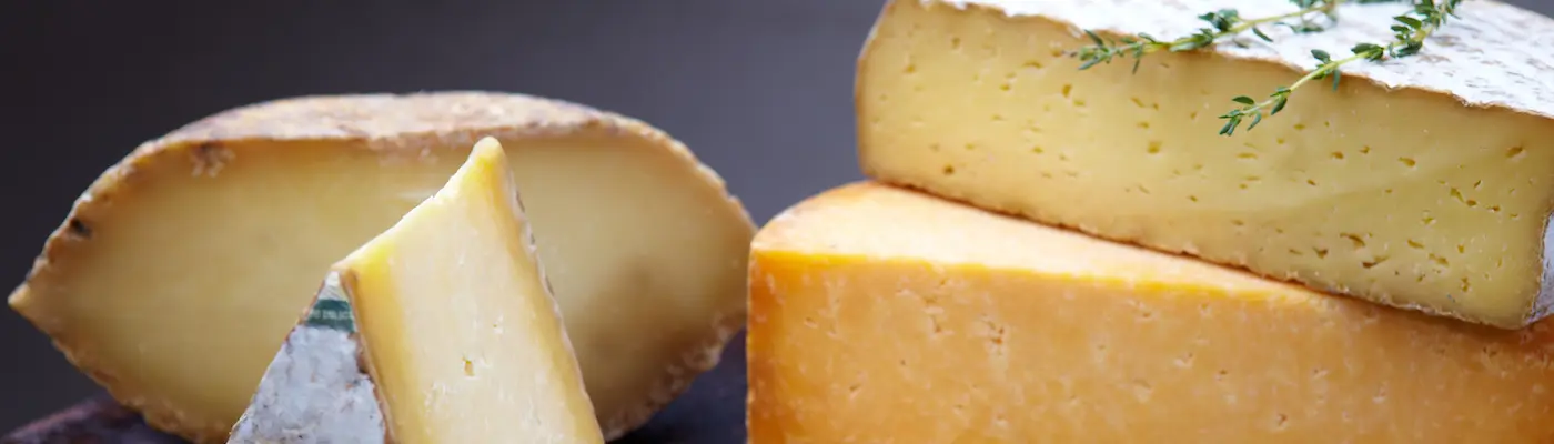 On sait maintenant pourquoi on est tous fans de fromage
