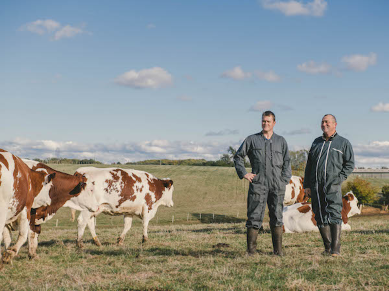 Derrière Bresse Bleu, la passion des producteurs de lait