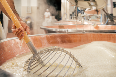 PARMIGIANO REGGIANO WHEEL FABRICATION