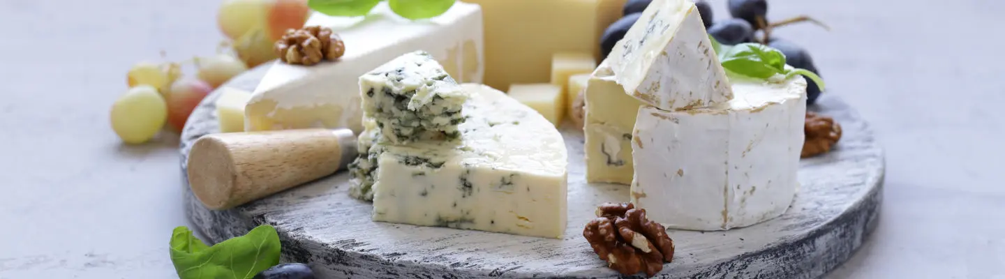 Fromage végétarien et alternative végétale au fromage : quelles différences ?